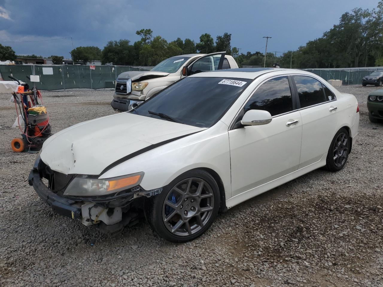 2008 Acura Tsx VIN: JH4CL96998C019864 Lot: 67718644