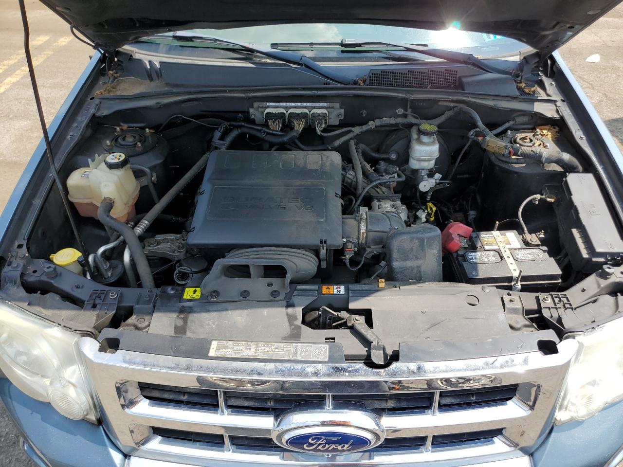 2011 Ford Escape Limited VIN: 1FMCU9EG5BKB69851 Lot: 66327794