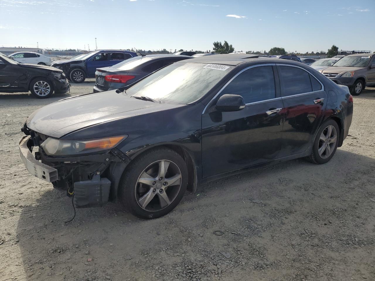 2011 Acura Tsx VIN: JH4CU2F66BC013943 Lot: 66586004