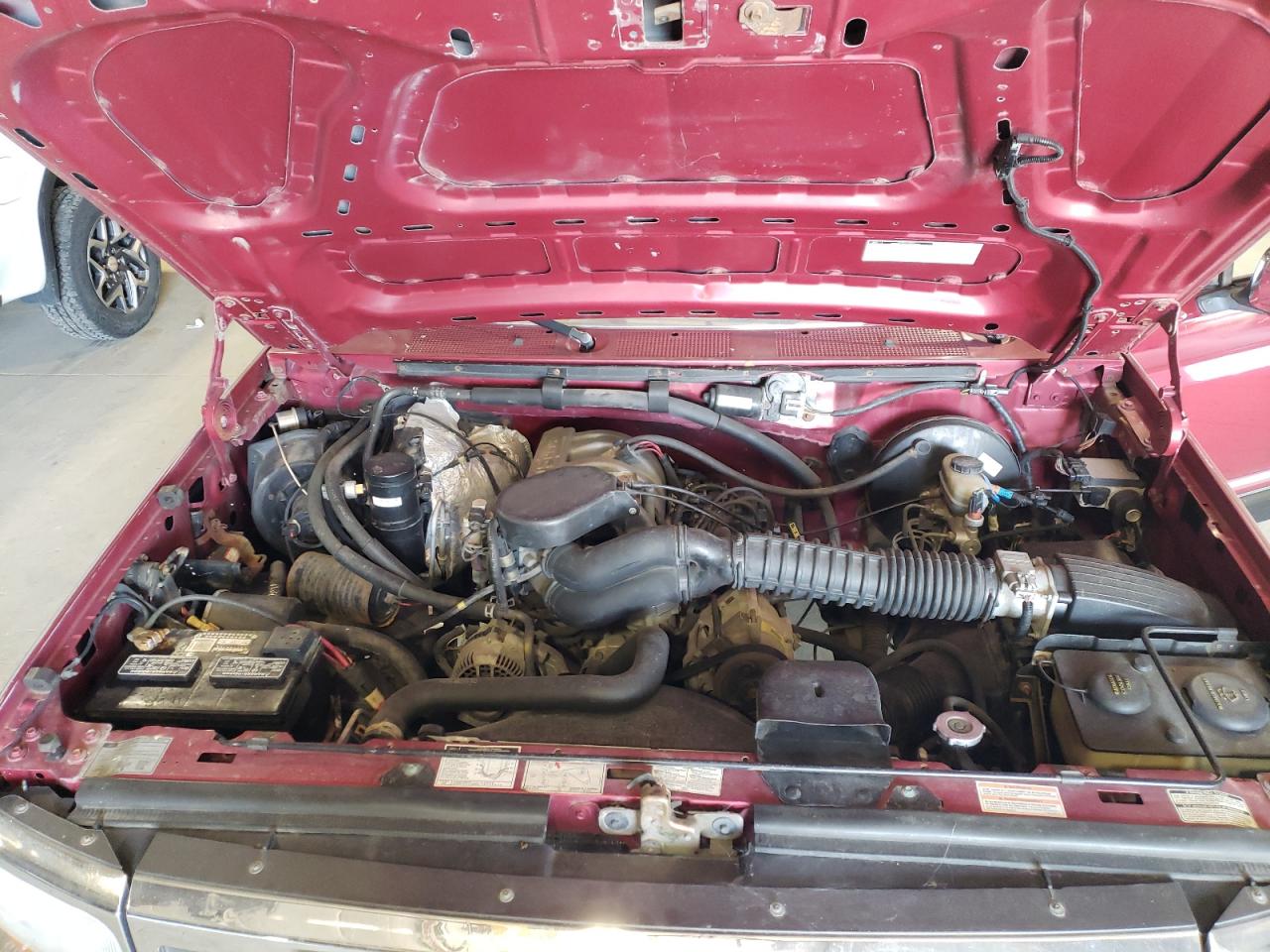 1995 Ford F150 VIN: 1FTEF15N4SNB04303 Lot: 66098074