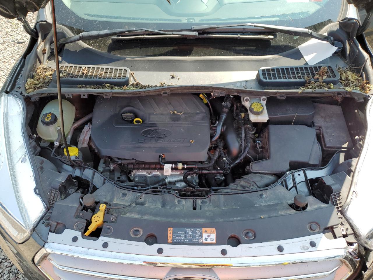 2018 Ford Escape Se VIN: 1FMCU9GD5JUB66406 Lot: 64784594