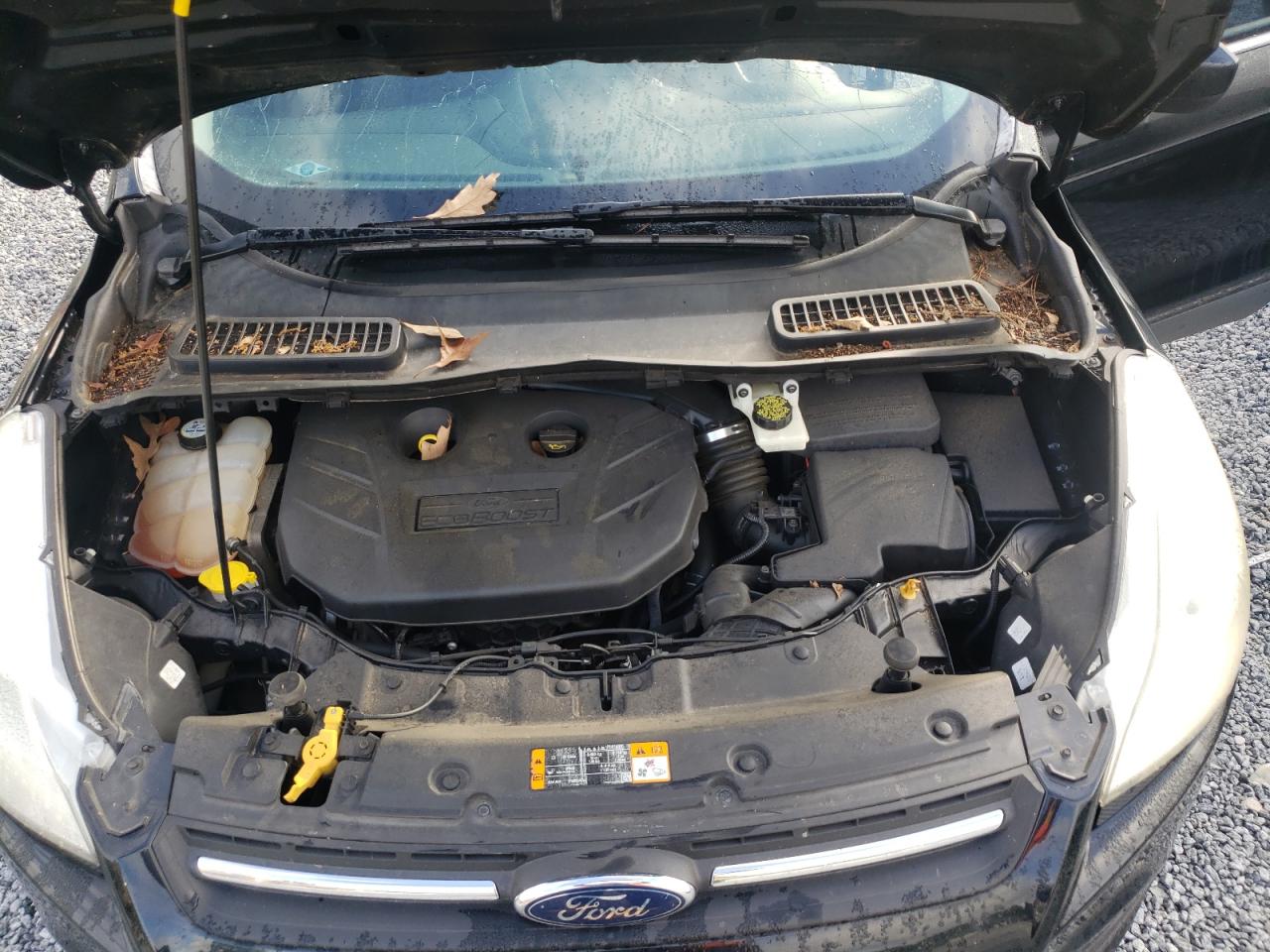 2013 Ford Escape Se VIN: 1FMCU0G92DUC98910 Lot: 65859824