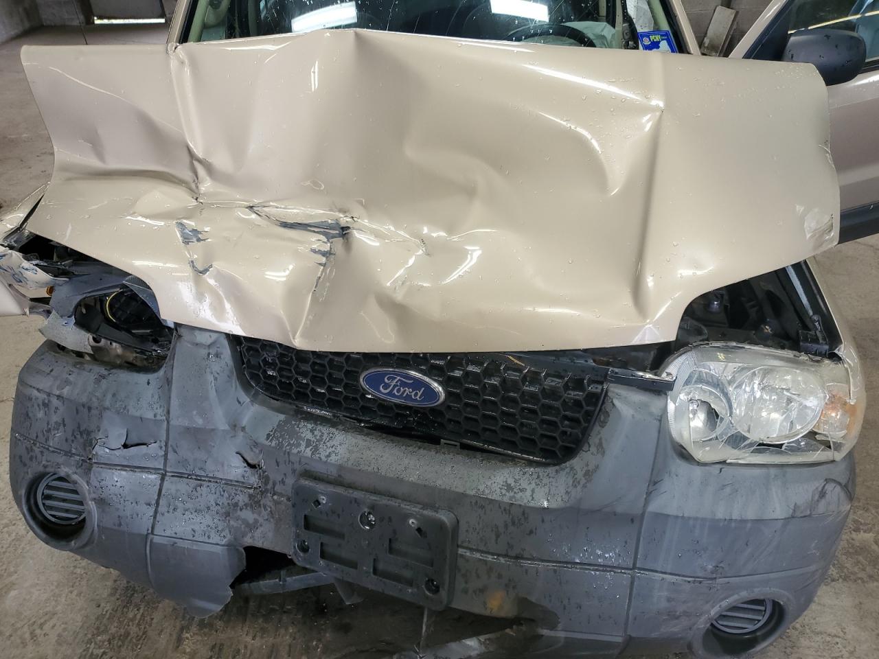 2007 Ford Escape Xls VIN: 1FMYU02Z17KB08687 Lot: 66404604