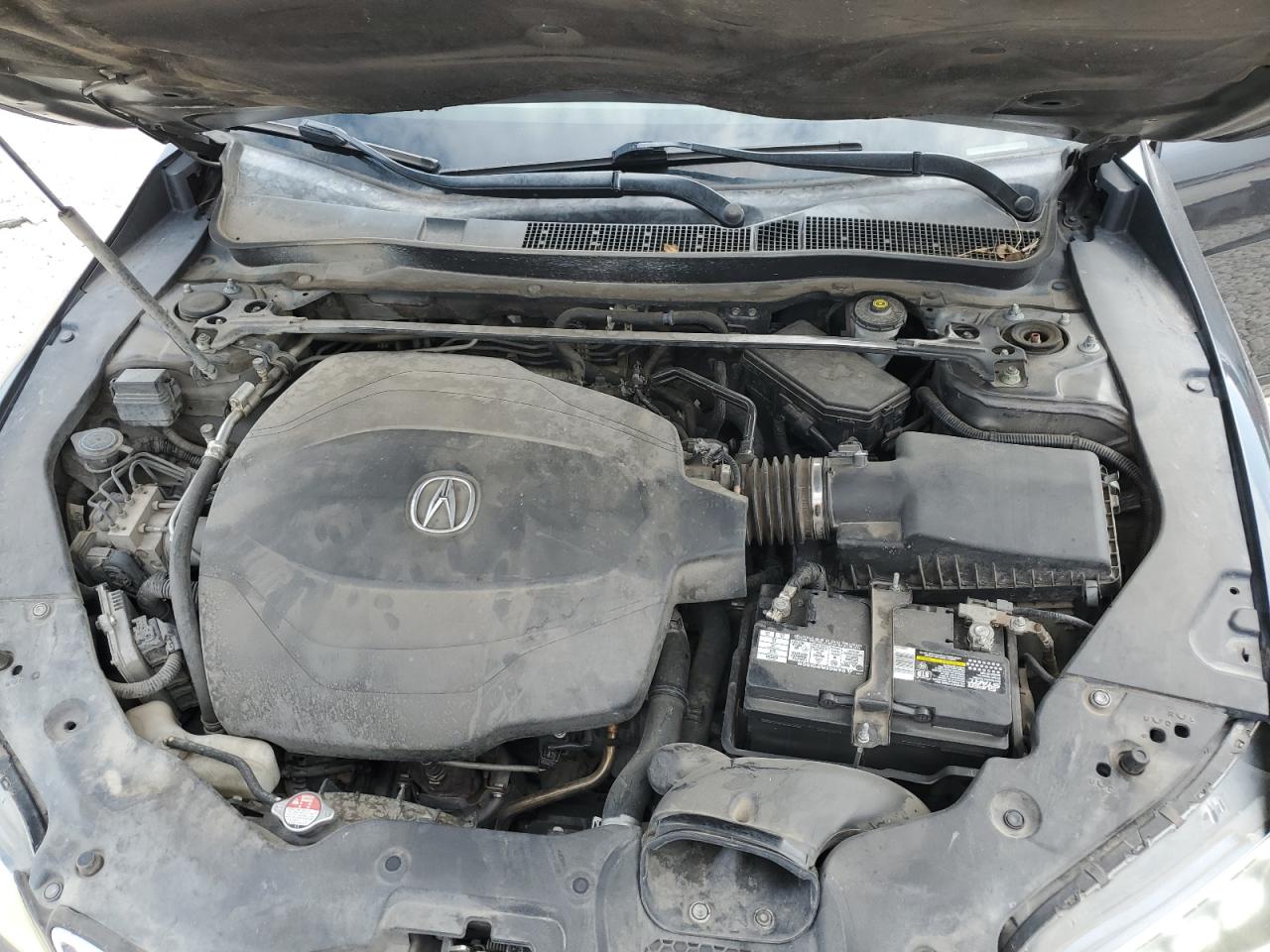 19UUB2F52FA025724 2015 Acura Tlx Tech