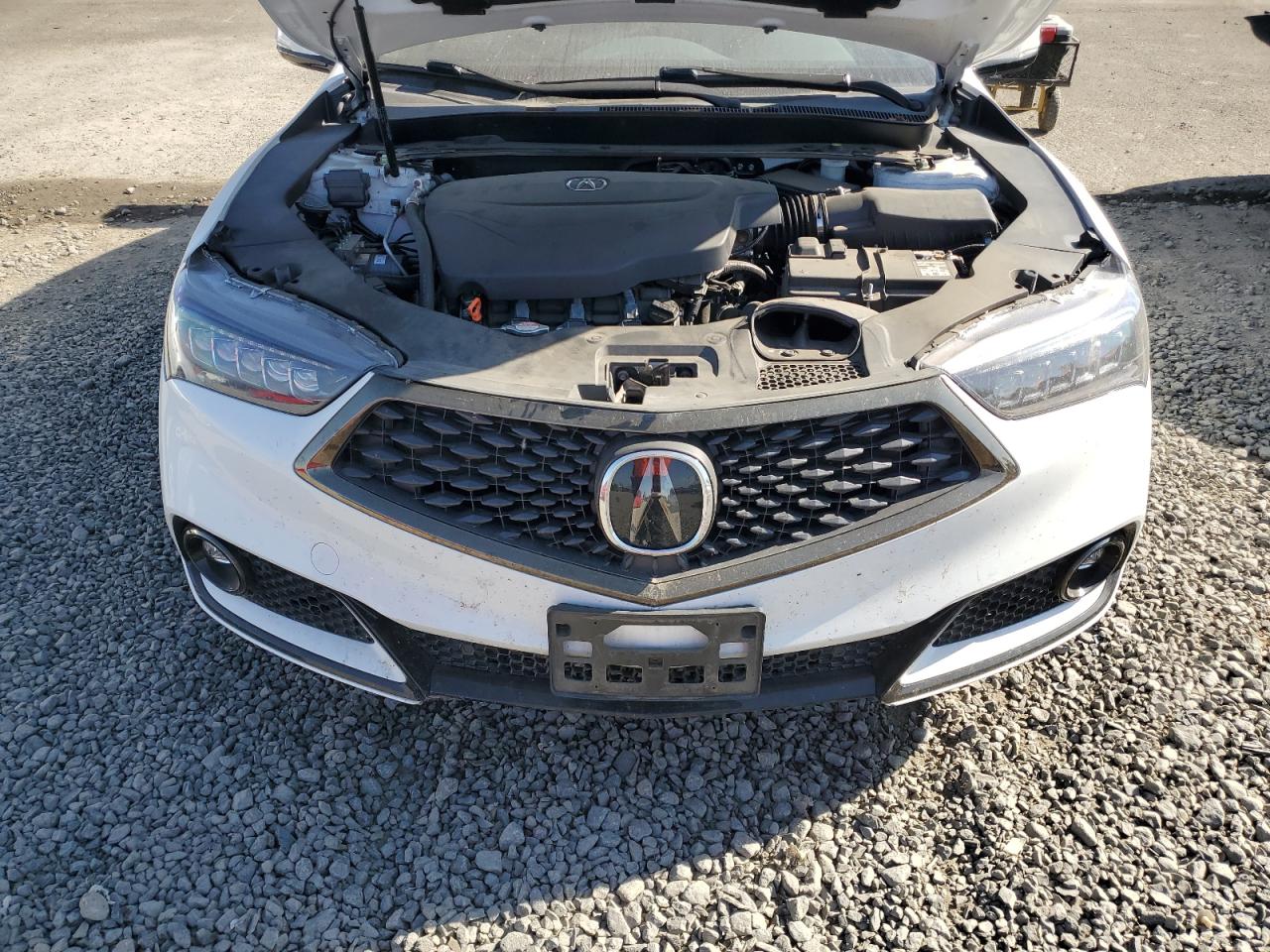 2019 Acura Tlx Technology VIN: 19UUB3F69KA006502 Lot: 66665604