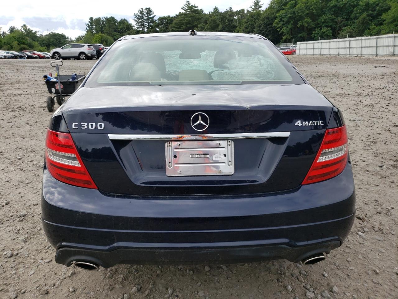 2012 Mercedes-Benz C 300 4Matic VIN: WDDGF8BB4CR234920 Lot: 66283504