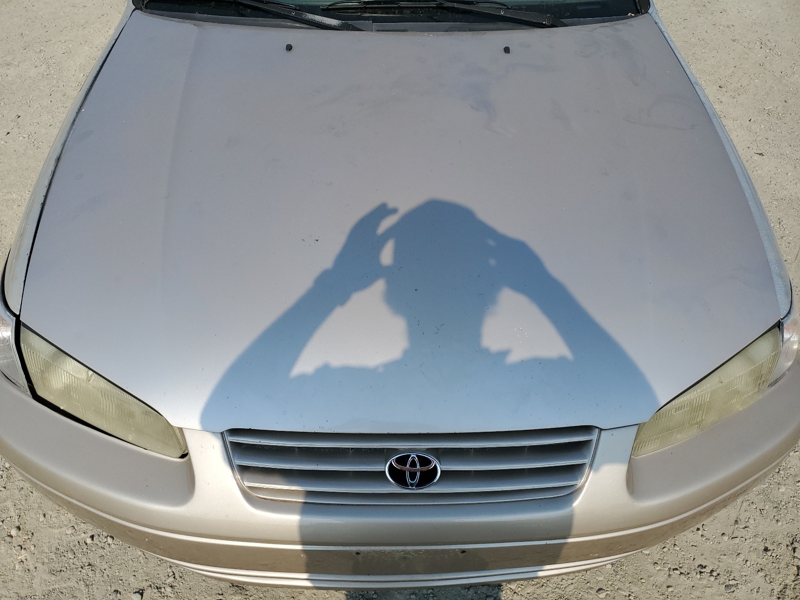 JT2BF22K8X0155724 1999 Toyota Camry Le