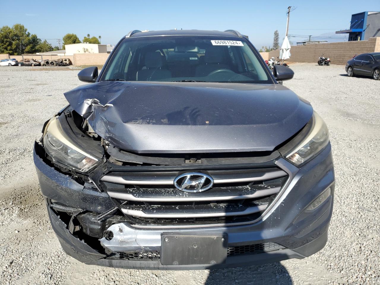 2016 Hyundai Tucson Limited VIN: KM8J3CA43GU130318 Lot: 66981524