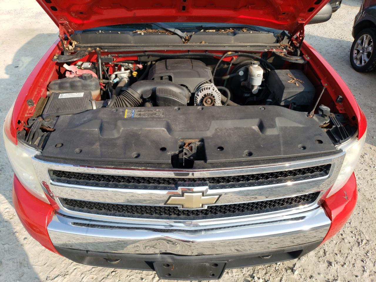 1GCEK19J38Z253709 2008 Chevrolet Silverado K1500 1GCEK19J38Z253709 2008 Chevrolet Silverado K1500