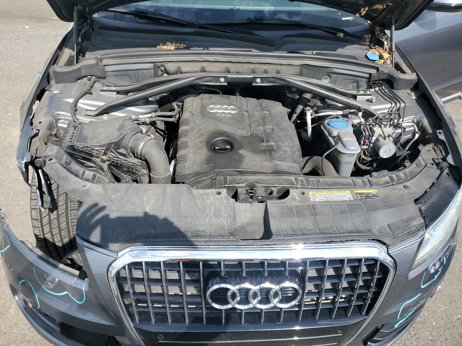 WA1LFAFP2FA120580 2015 Audi Q5 Premium Plus