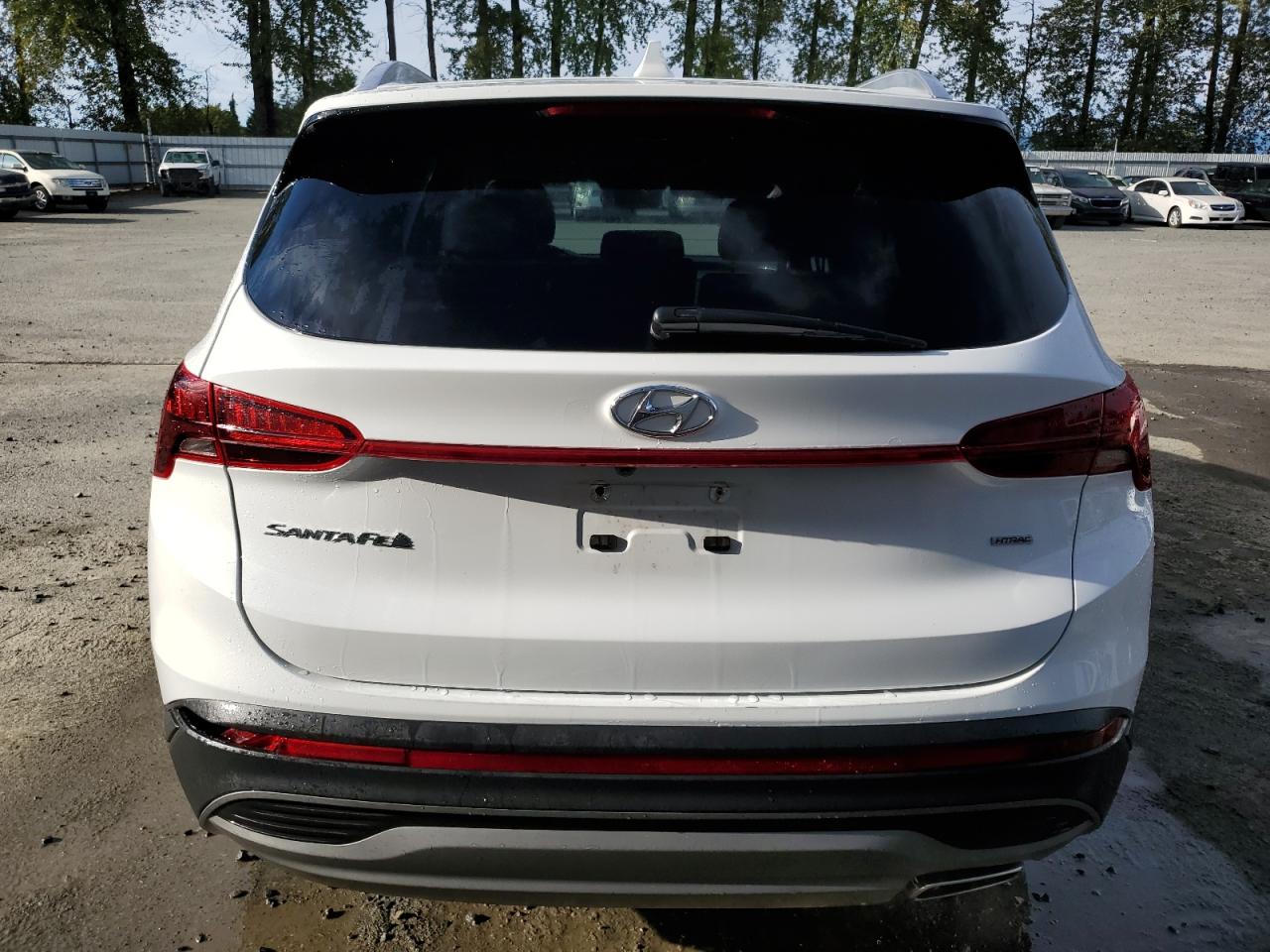 2023 Hyundai Santa Fe Sel VIN: 5NMS2DAJ9PH612502 Lot: 68183354