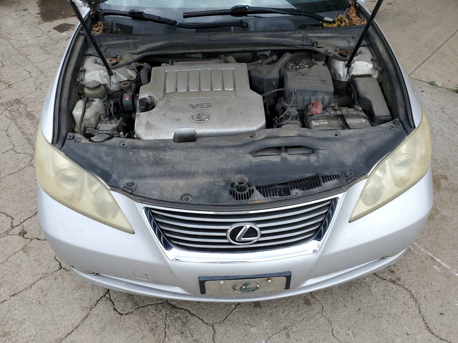 JTHBJ46G472047059 2007 Lexus Es 350