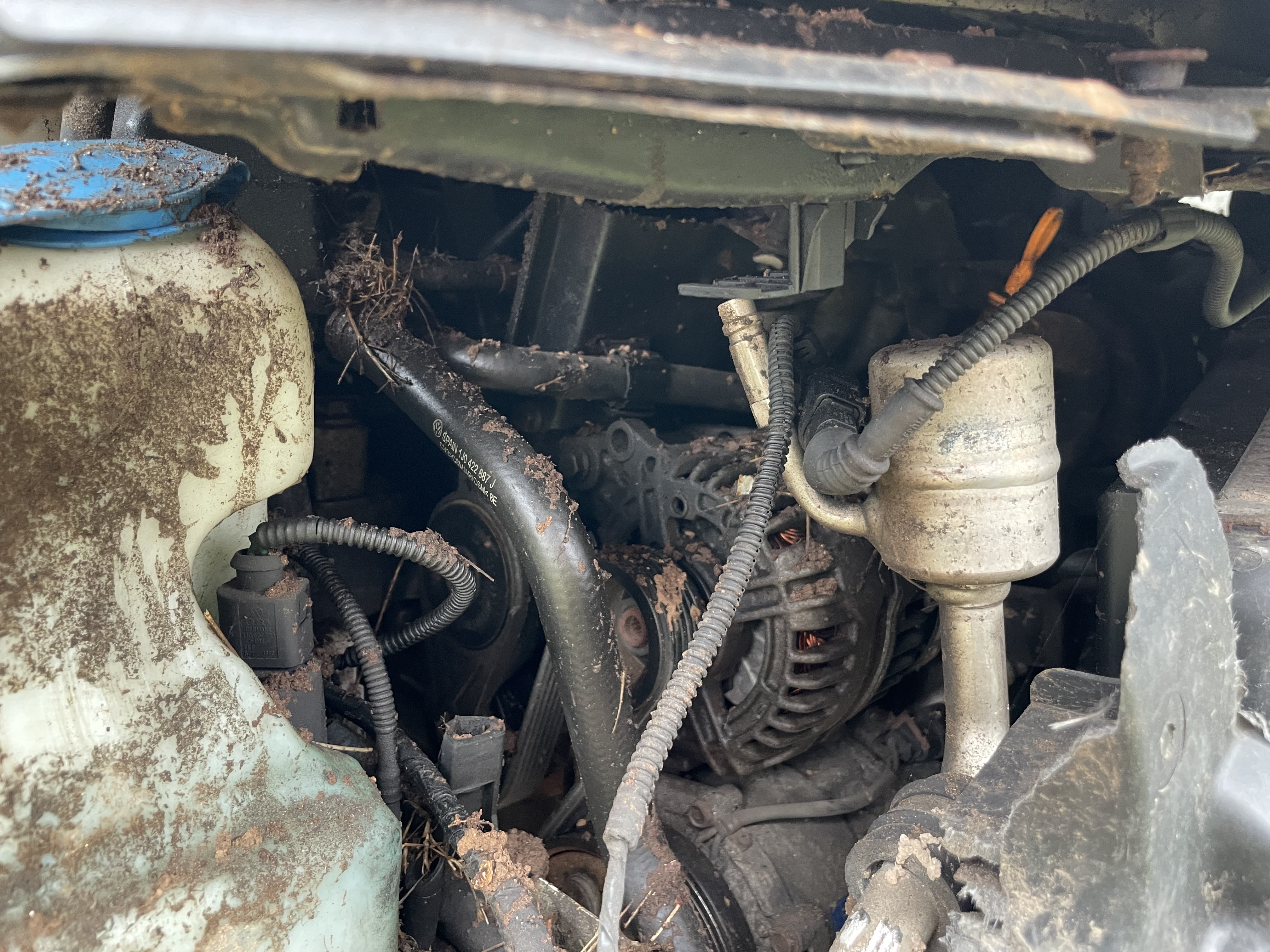 3VWTK49M59M621164 2009 Volkswagen City Jetta