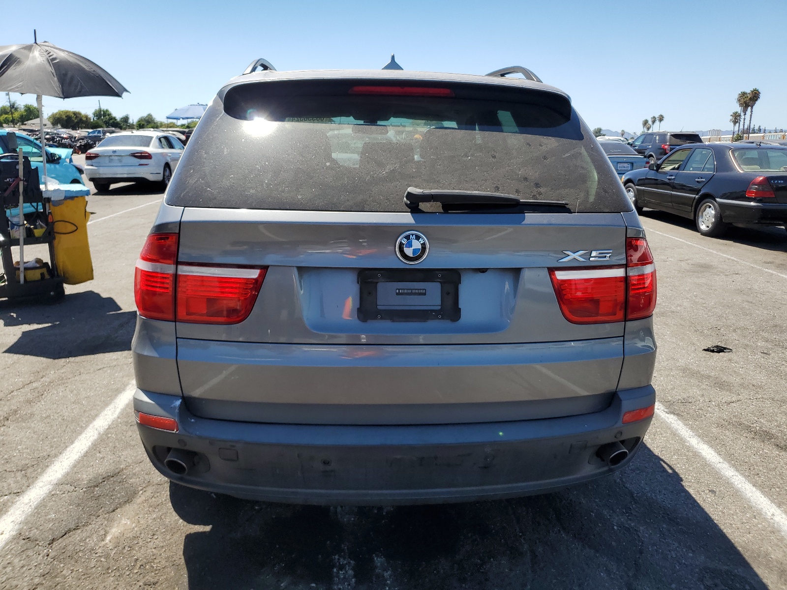 5UXFE43579L270850 2009 BMW X5 xDrive30I