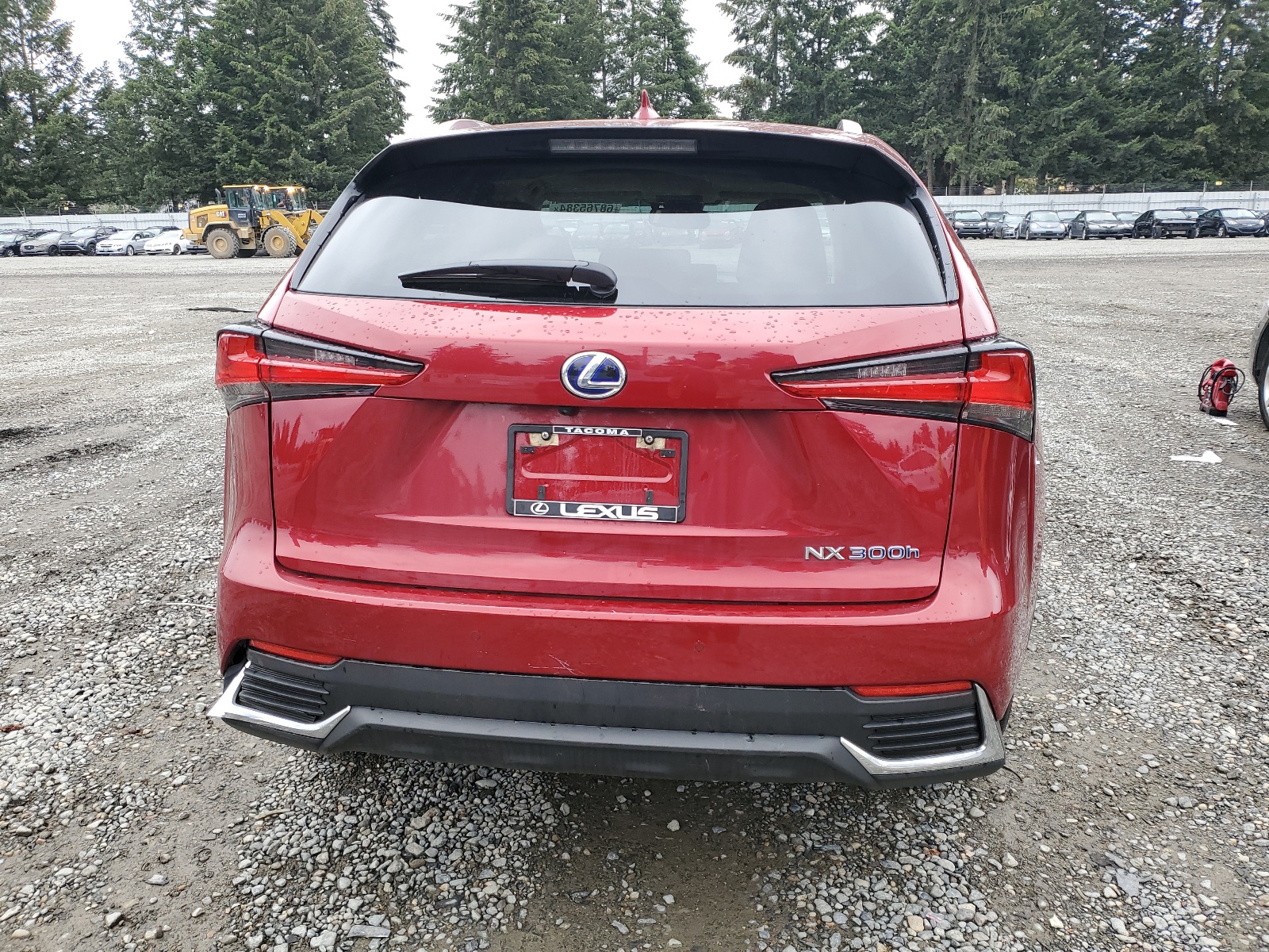 JTJGJRDZ4L5010270 2020 Lexus Nx 300H