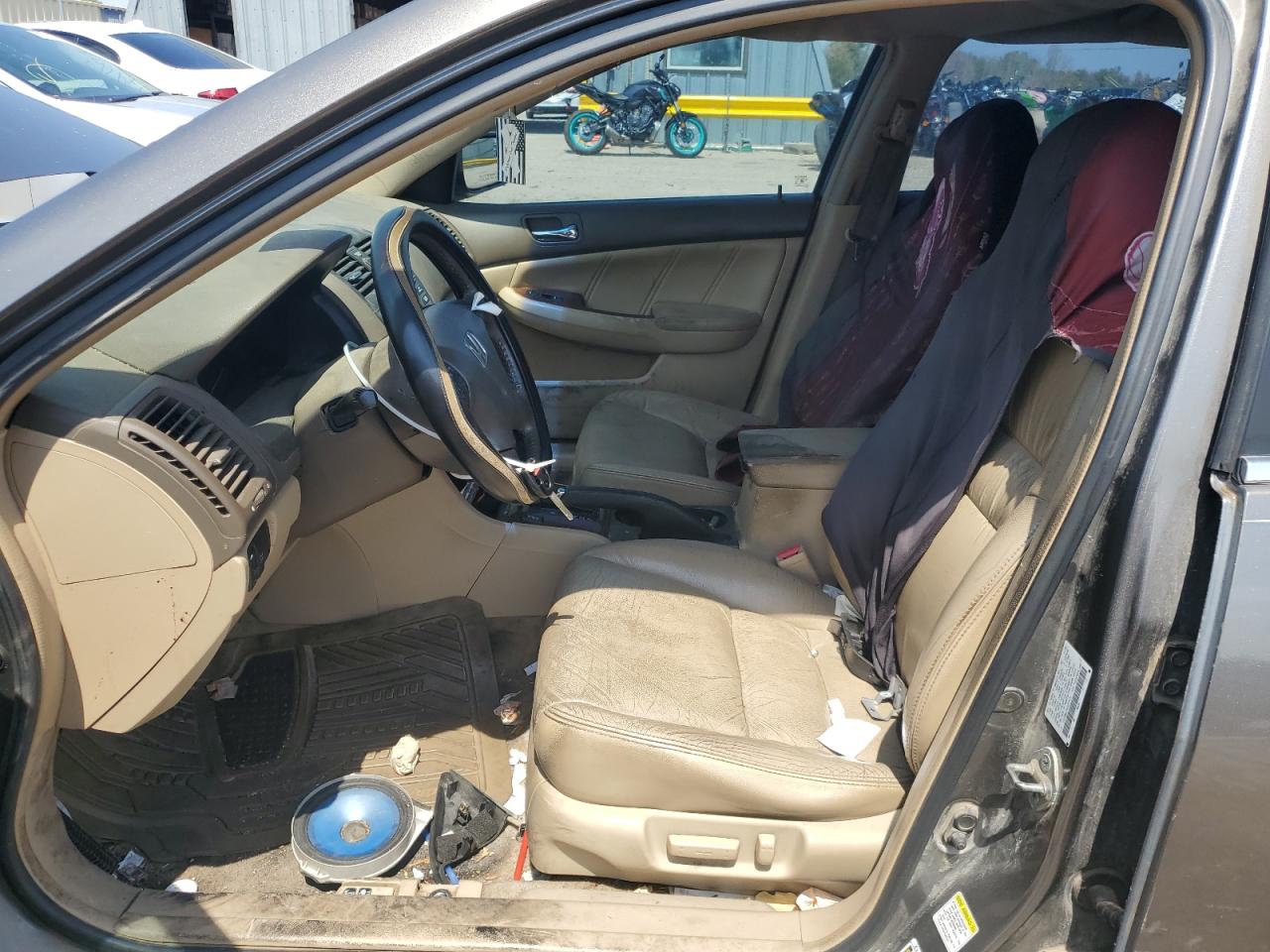 2006 Honda Accord Ex VIN: 1HGCM665X6A021675 Lot: 68580384