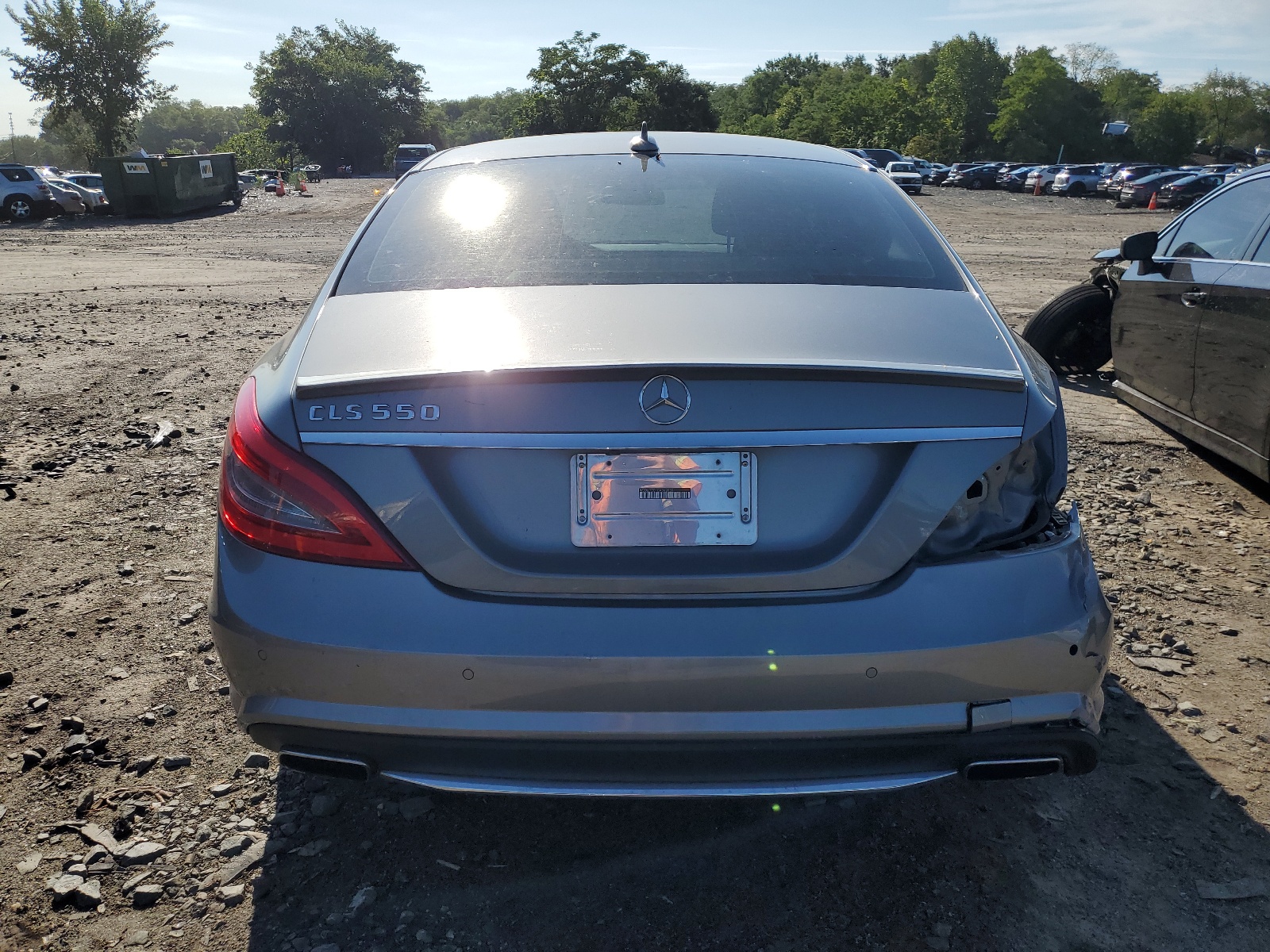 WDDLJ7DB1CA012838 2012 Mercedes-Benz Cls 550