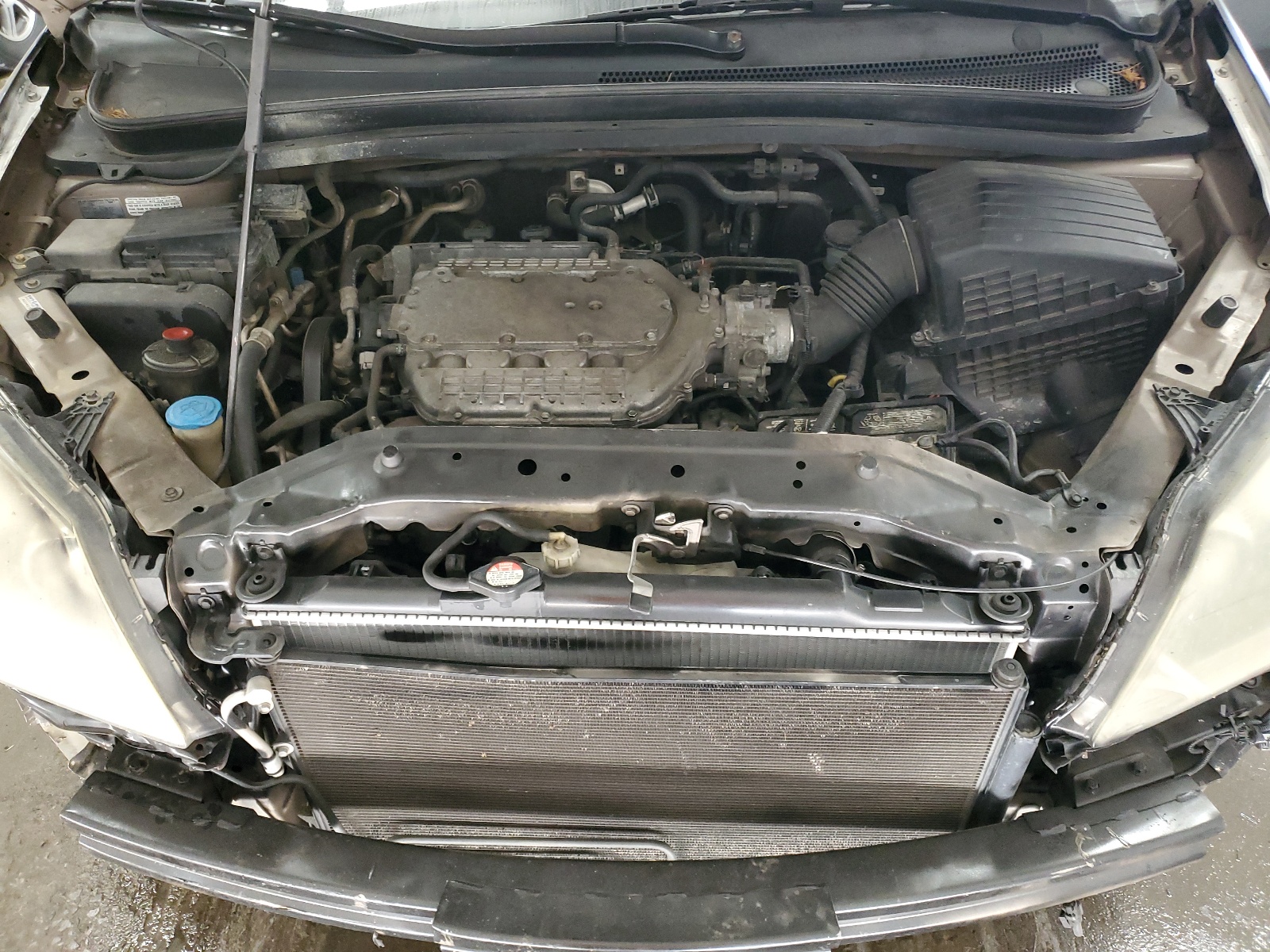 5FNRL38896B050156 2006 Honda Odyssey Touring