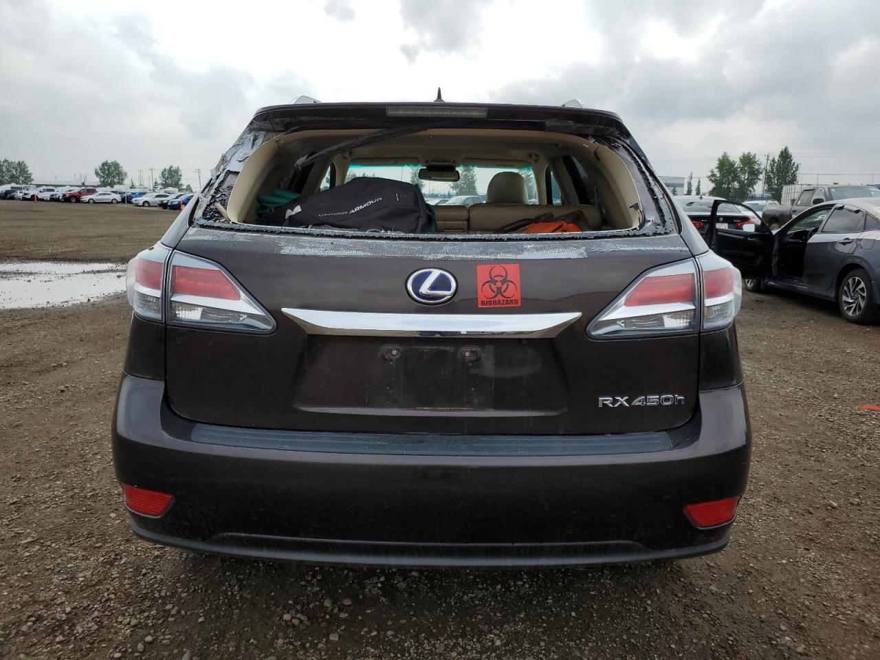 2013 Lexus Rx 450H VIN: JTJBC1BA9D2051130 Lot: 66360354