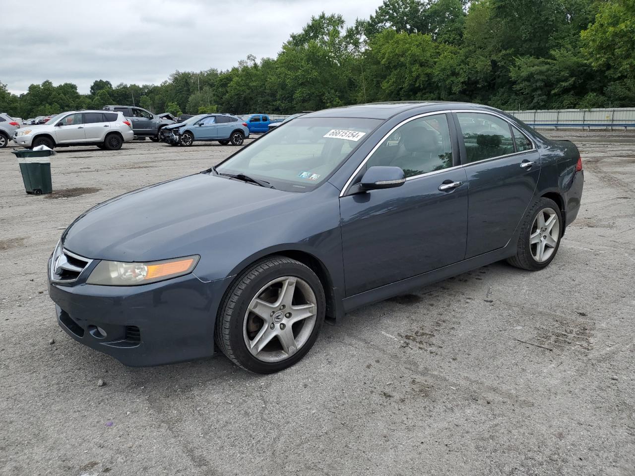 2006 Acura Tsx VIN: JH4CL96856C008459 Lot: 66615154