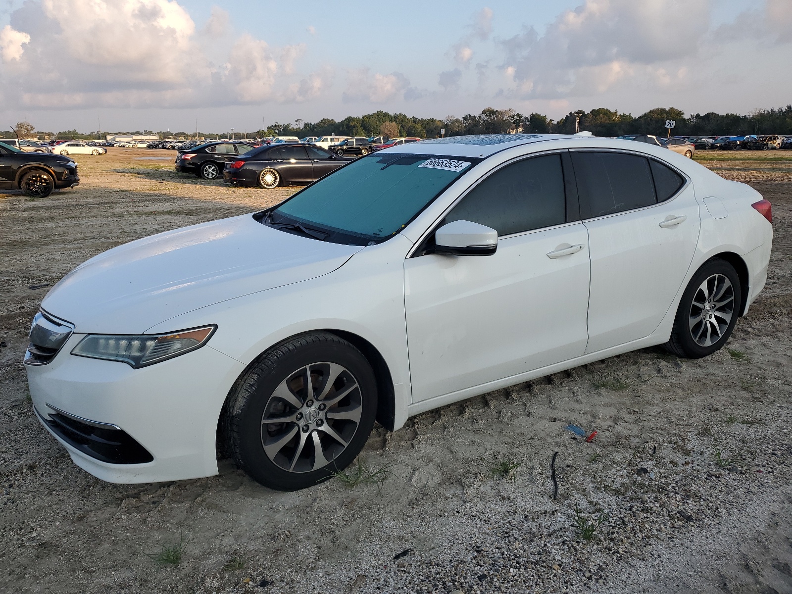 19UUB1F39GA006128 2016 Acura Tlx