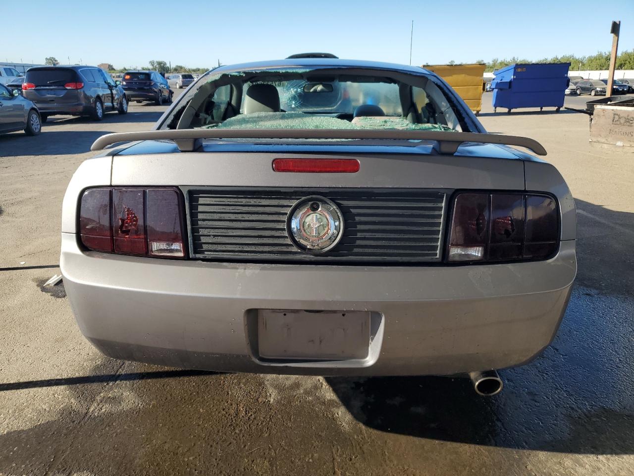 2006 Ford Mustang VIN: 1ZVFT80N565228290 Lot: 67533684