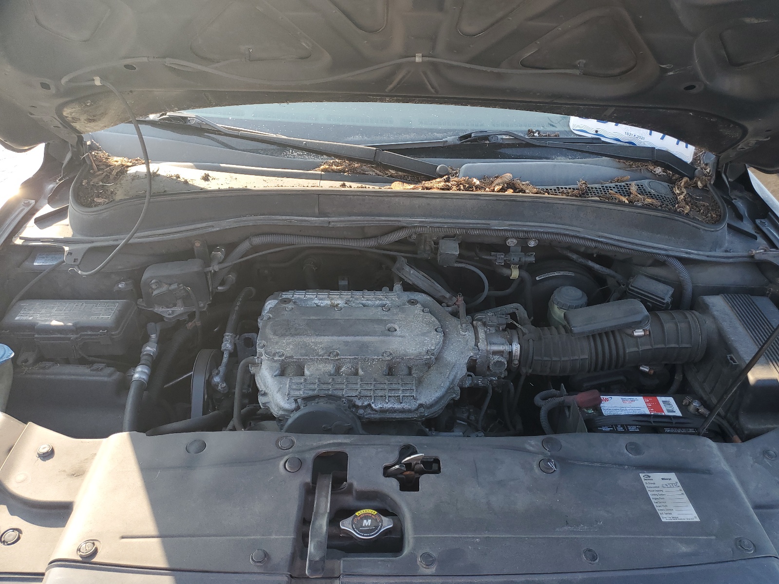 2HKYF18556H554184 2006 Honda Pilot Ex