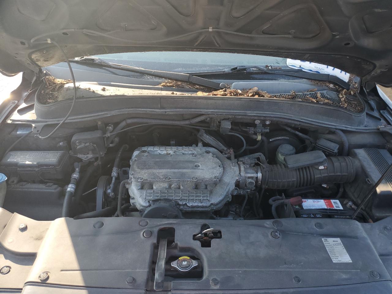 2006 Honda Pilot Ex VIN: 2HKYF18556H554184 Lot: 65979334