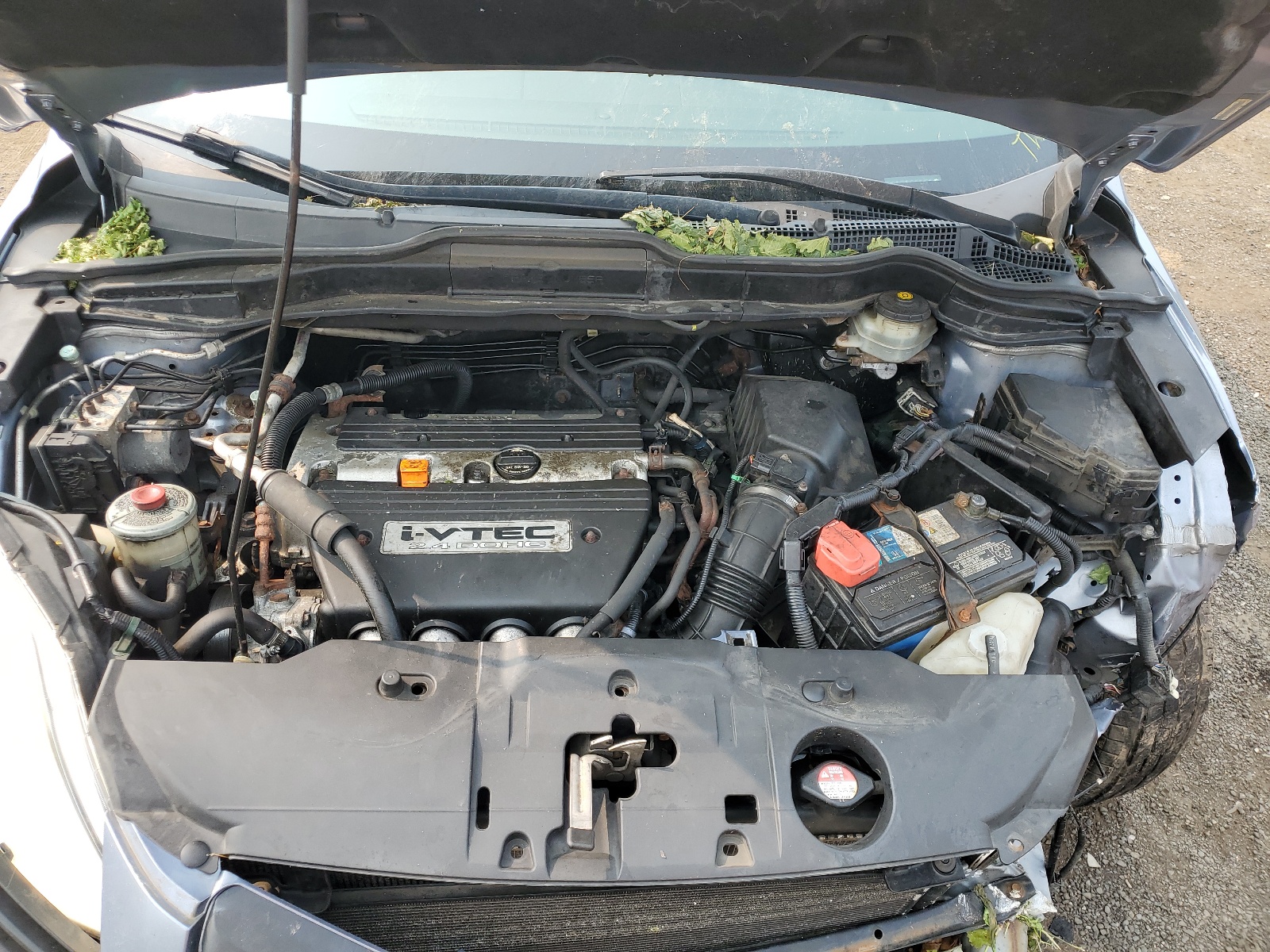 JHLRE48397C031452 2007 Honda Cr-V Lx