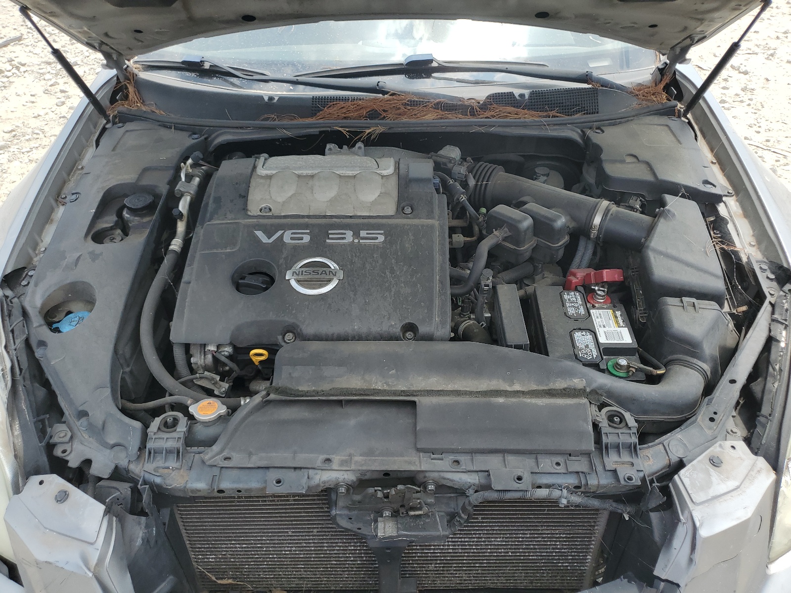 1N4BA41E58C838063 2008 Nissan Maxima Se