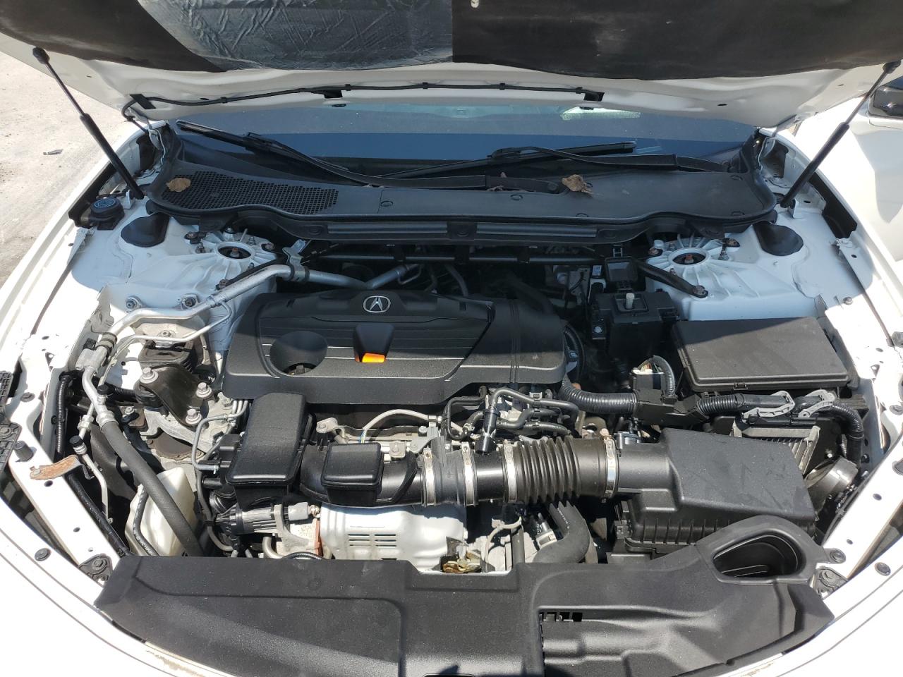 2021 Acura Tlx Tech A VIN: 19UUB5F50MA012873 Lot: 66003604