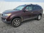 2012 Kia Sorento Base продається в Fredericksburg, VA - Normal Wear