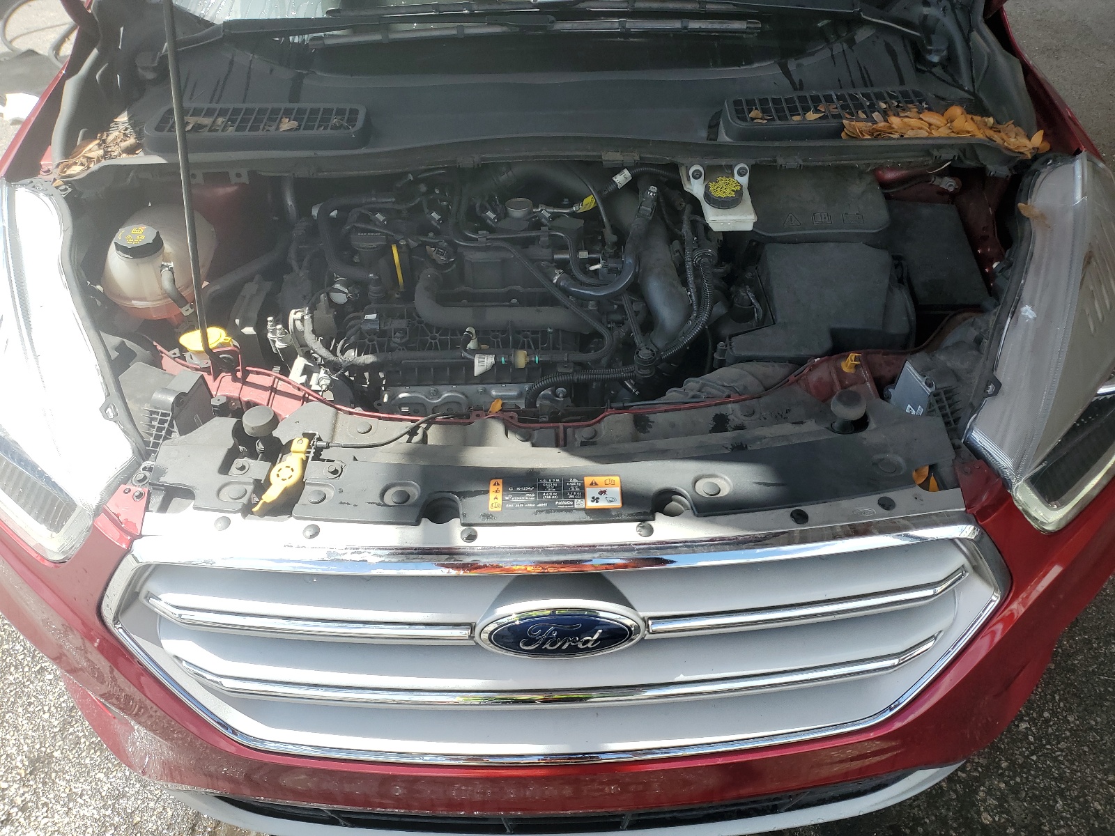 1FMCU9HD9KUB44117 2019 Ford Escape Sel