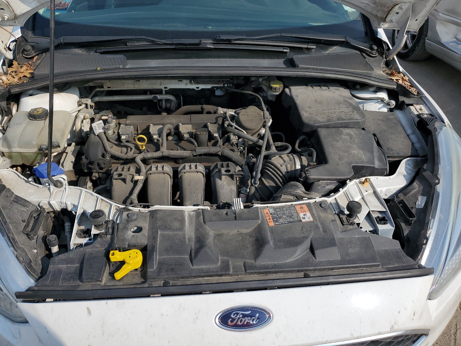 1FADP3K26FL282039 2015 Ford Focus Se