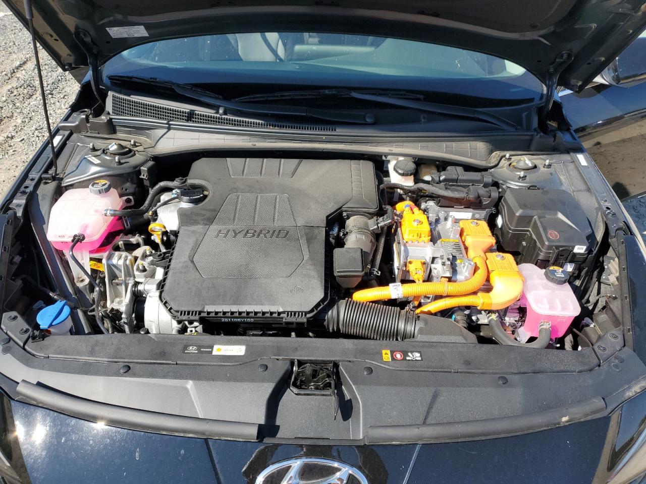 2022 Hyundai Elantra Limited VIN: KMHLN4AJ9NU024631 Lot: 66574734