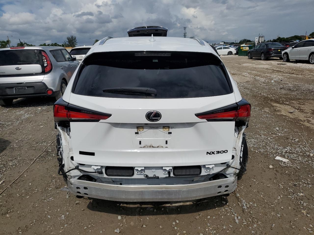 2021 Lexus Nx 300 Base VIN: JTJSARBZ0M5033057 Lot: 65433904