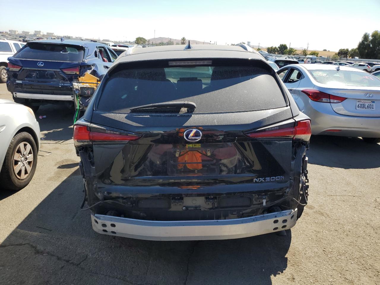 2021 Lexus Nx 300H Base VIN: JTJGJRDZ9M2146770 Lot: 69047824