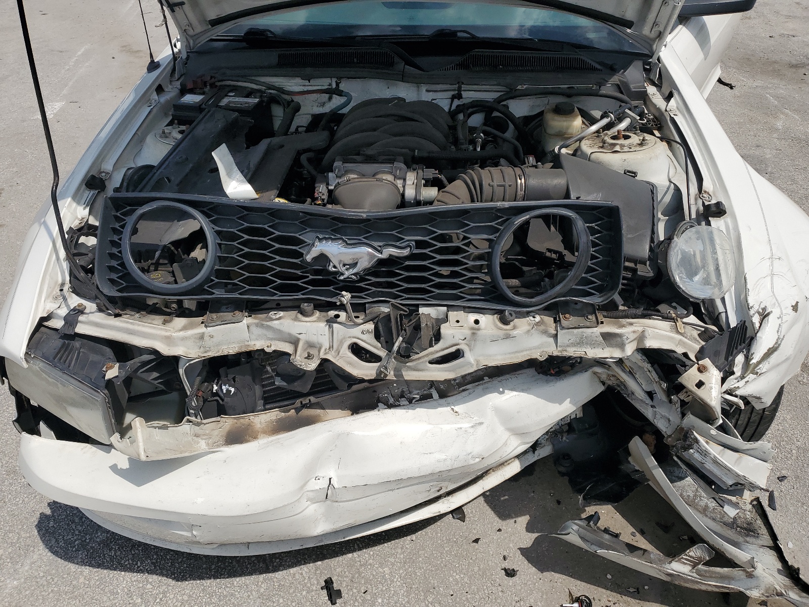 1ZVHT82H185194142 2008 Ford Mustang Gt