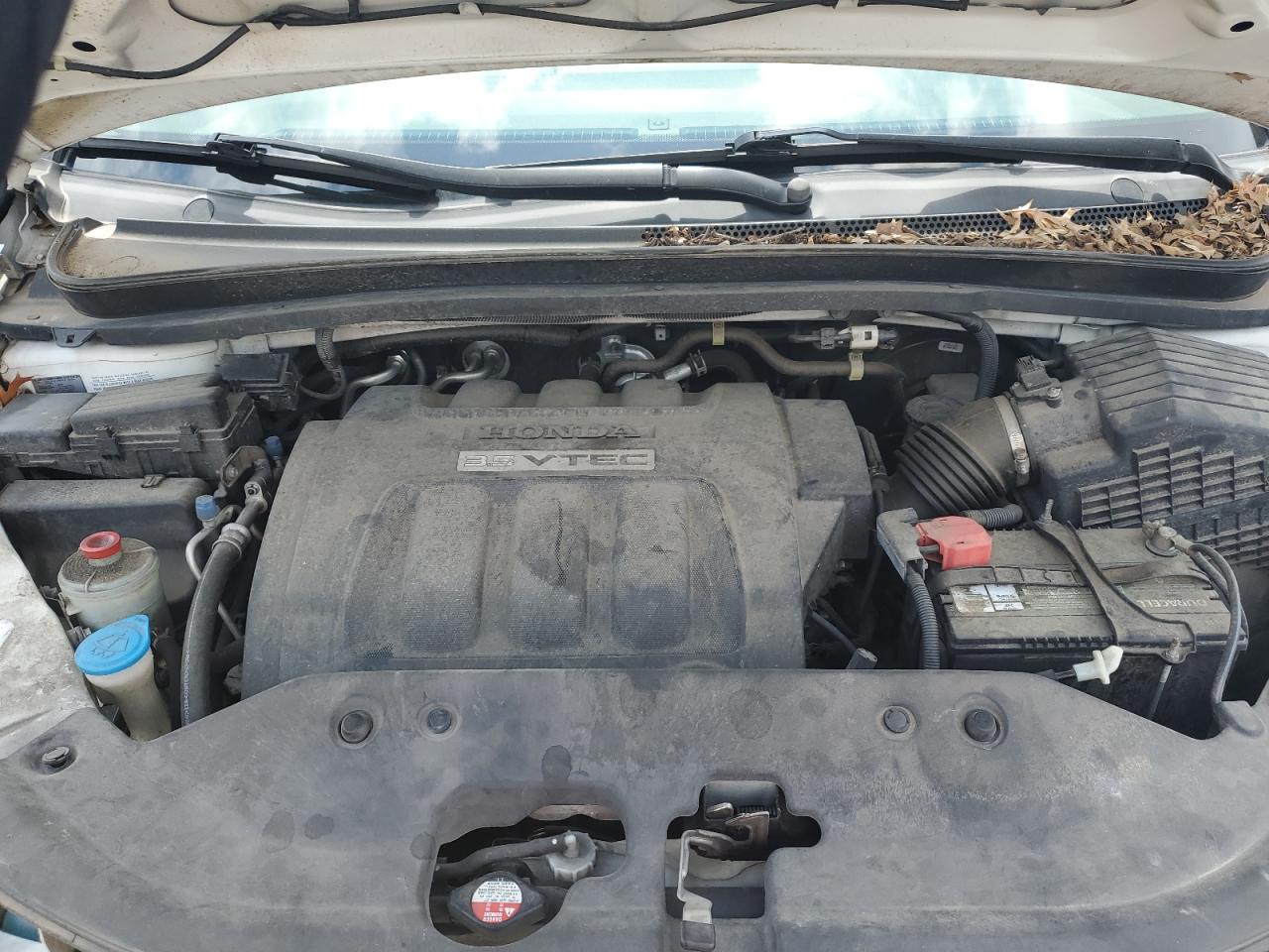 2009 Honda Odyssey Ex VIN: 5FNRL38489B054653 Lot: 65638504