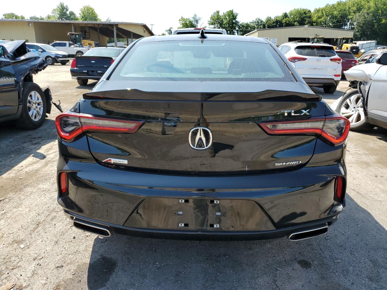 2023 Acura Tlx A-Spec VIN: 19UUB6F55PA000535 Lot: 66298644