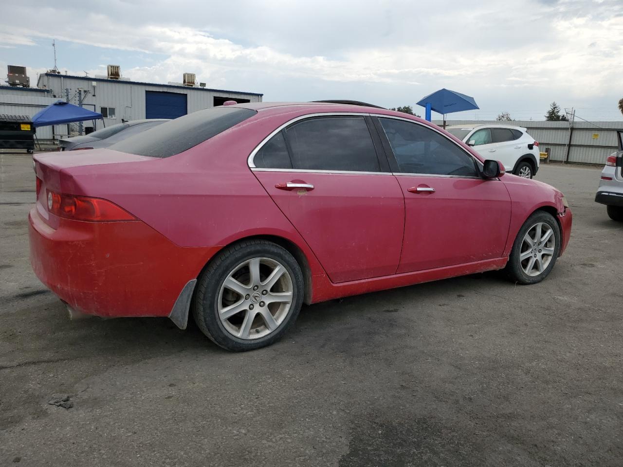 2005 Acura Tsx VIN: JH4CL96805C001207 Lot: 66124954