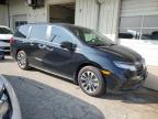 2024 HONDA ODYSSEY EXL for sale at Copart IN - DYER