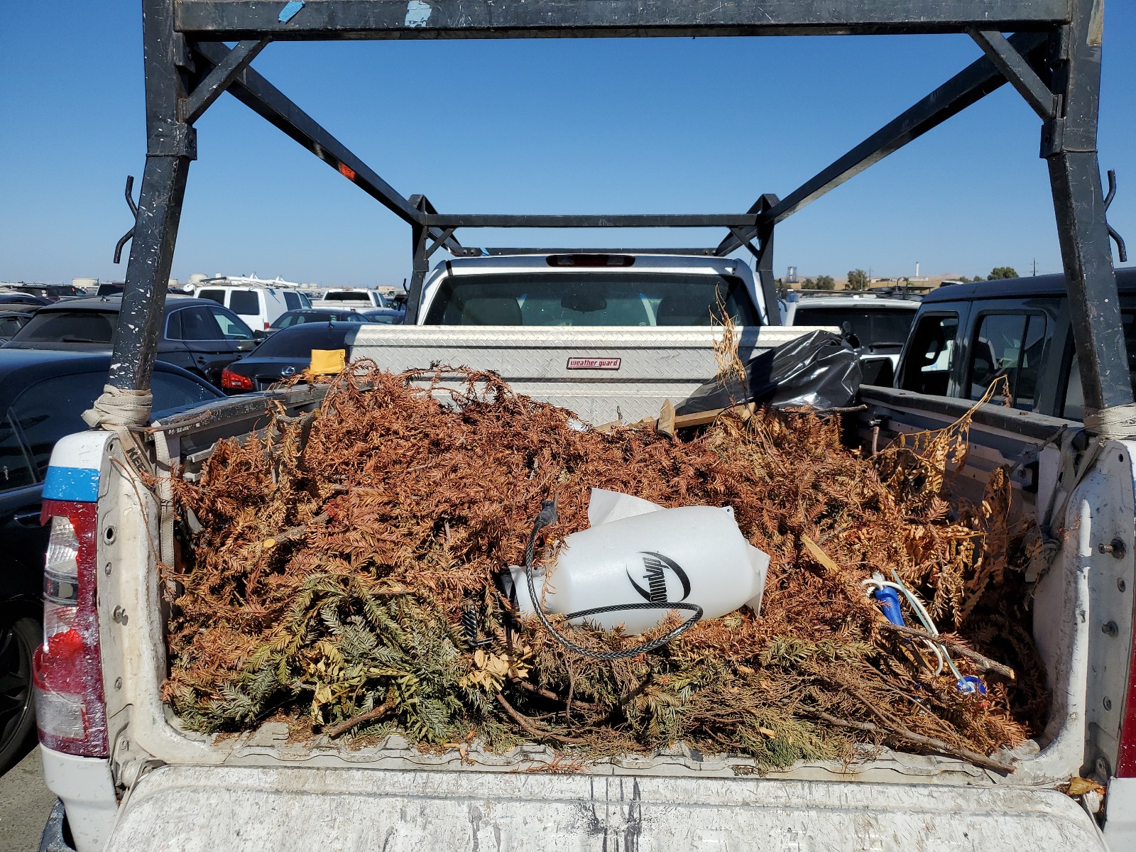 1GTEC14C78Z247000 2008 GMC Sierra C1500