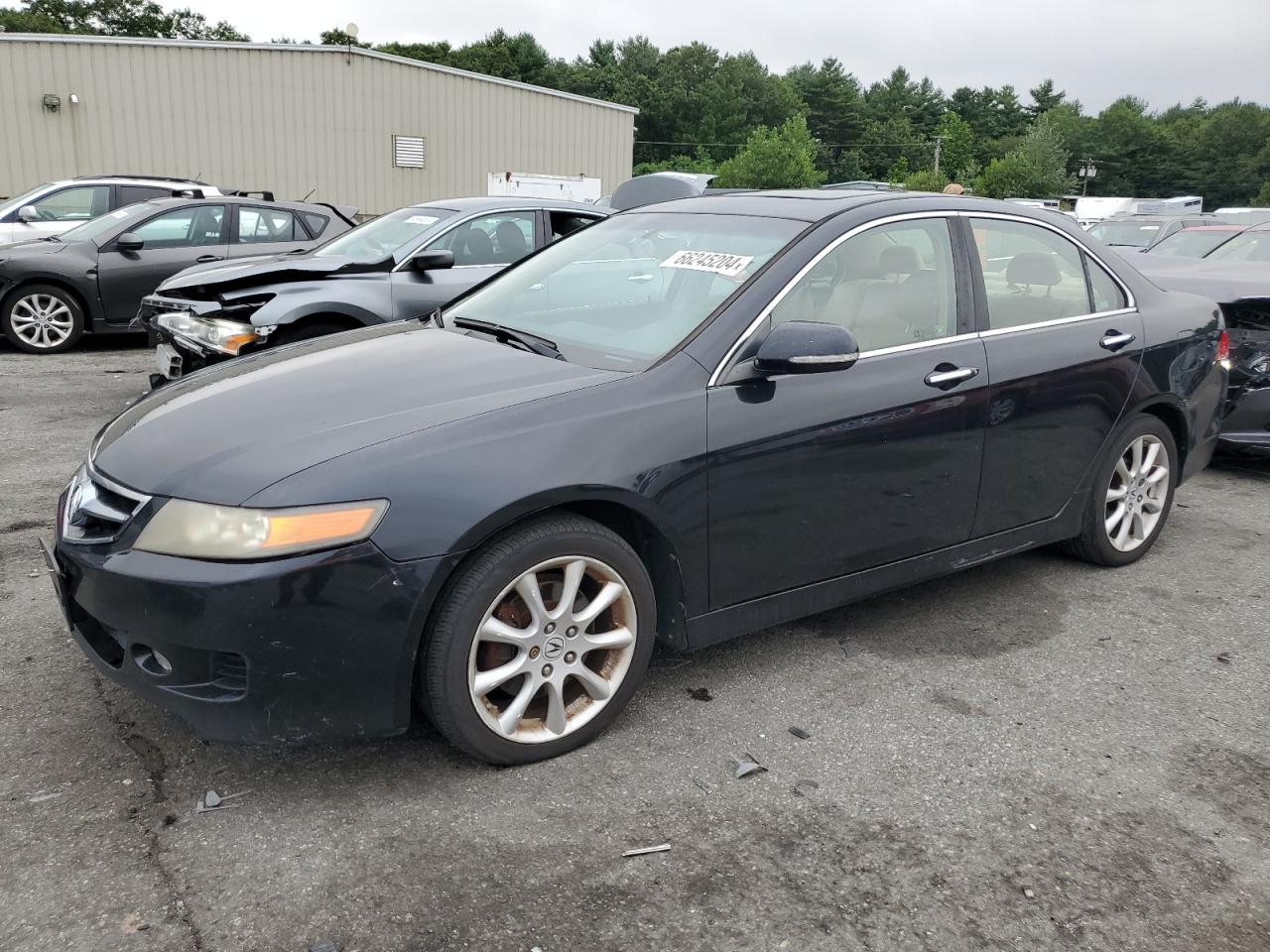 2008 Acura Tsx VIN: JH4CL96898C005082 Lot: 66245204