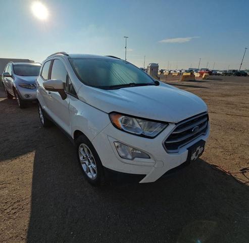  FORD ECOSPORT 2019 Белый