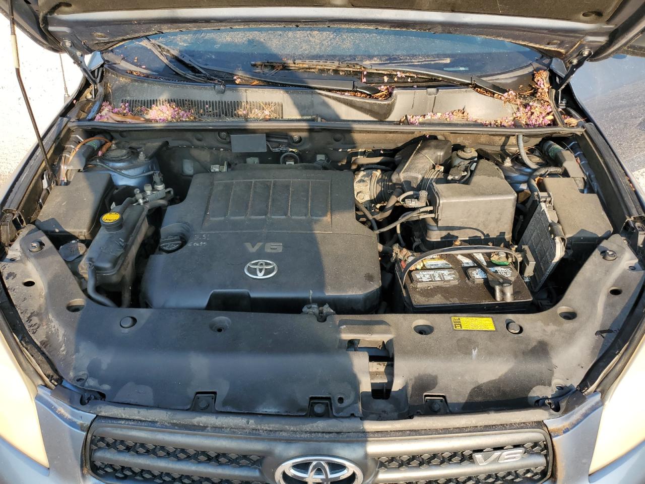 JTMBK33V386035880 2008 Toyota Rav4