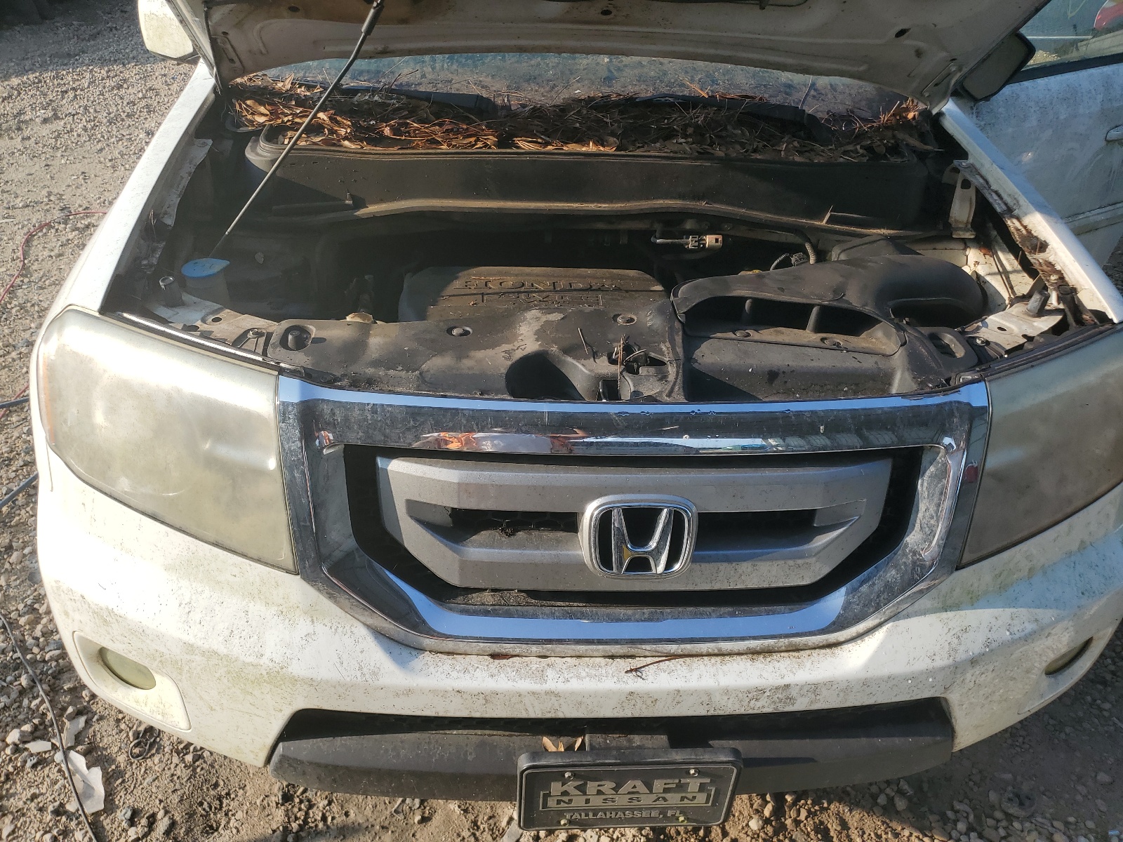 5FNYF3H45BB028844 2011 Honda Pilot Ex