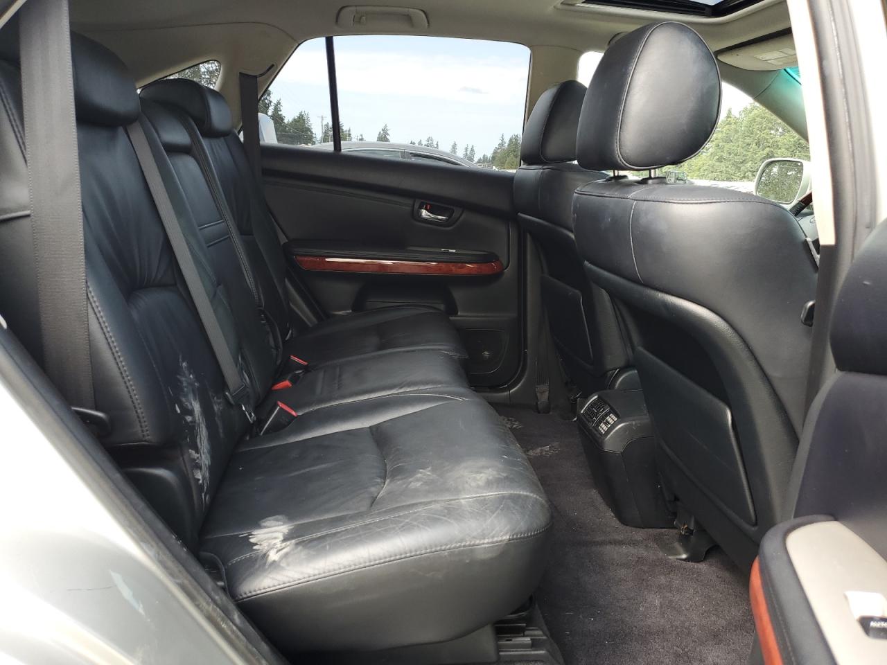 2007 Lexus Rx 350 VIN: JTJHK31U672023861 Lot: 67743214