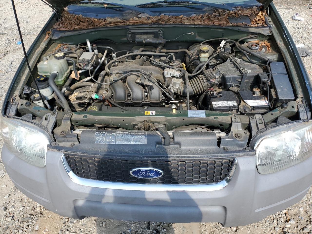 2002 Ford Escape Xlt VIN: 1FMCU031X2KC47244 Lot: 67109574