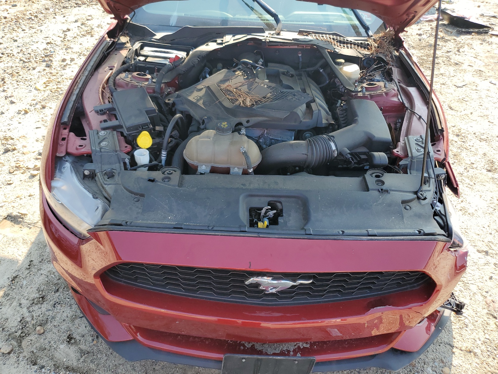 1FA6P8TH2H5217401 2017 Ford Mustang